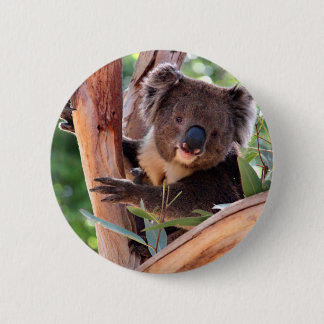Viktorianischer Koala Button