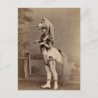Viktorianischer Pferdekostüm-Daguerreotype/Foto