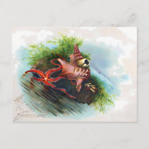 Viktorianischer Seestern und Muschel-Weihnachtsgru Postkarte