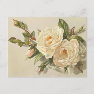 Viktorianischer Vintage-Cremig-Weiße-Rosen-Strauß Postkarte