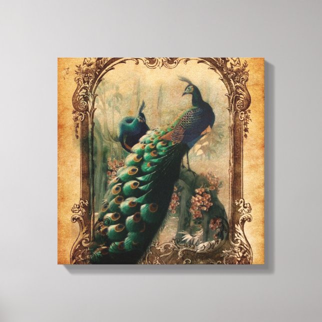 viktorianischer, Vintager Pfau Leinwanddruck (Vorderseite)