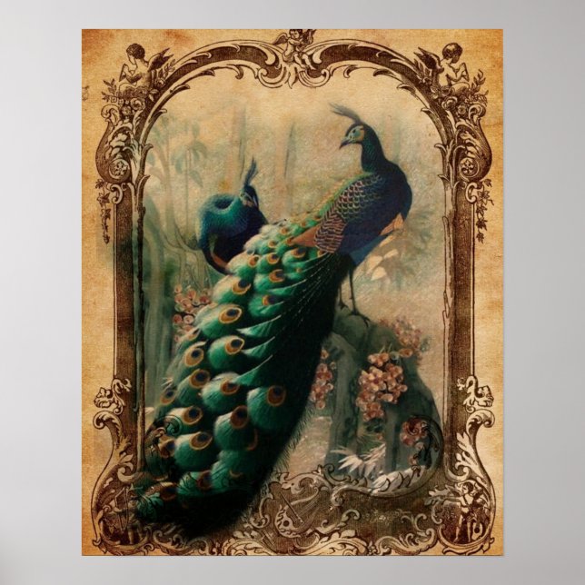 viktorianischer, Vintager Pfau Poster (Vorne)