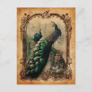 viktorianischer, Vintager Pfau Postkarte