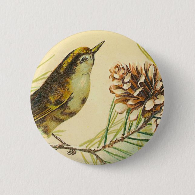 Viktorianischer Vogel-Knopf Button (Vorderseite)