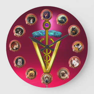 VIKTORIANISCHES HUNDERPORTRAS CADUCEUS VETERINÄRSY GROßE WANDUHR