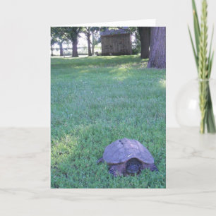 "Village Snapping Turtle" Geburtskarte Karte