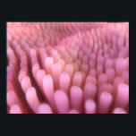 Villi 2 poster<br><div class="desc">Darmvilli,  Computergrafik. | SCIEPRO | AssetID: 140892357</div>