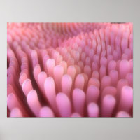 Villi 2