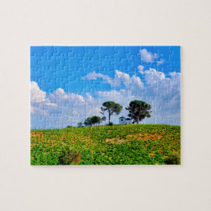 Viña de Los Pinos Puzzle