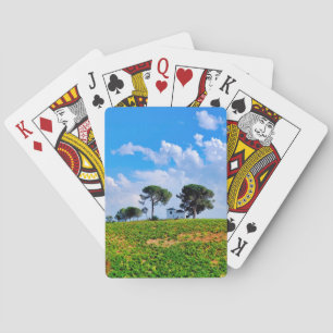 Viña de Los Pinos Spielkarten