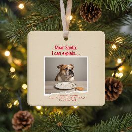 Vinage Funny Dog Pet Photo Christmas Holiday Keramikornament