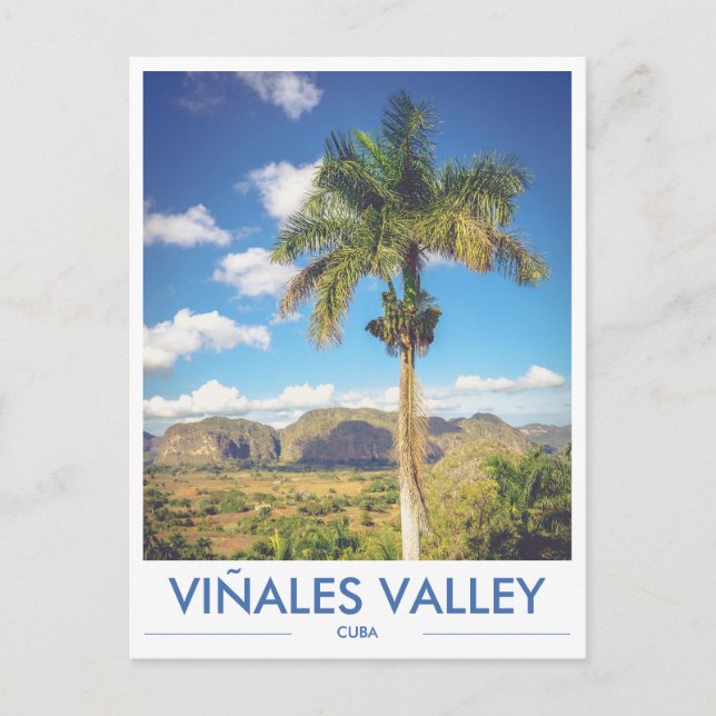Viñales Valley Cuba Palm Tree Foto Postcard Postkarte (Vorderseite)