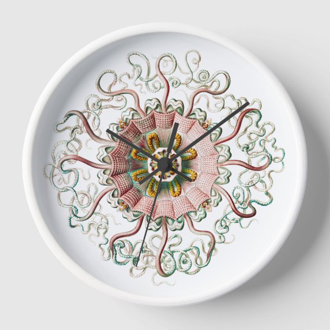 Vinatge Qualle zeichne Wall Clock Uhr (Vorderseite)