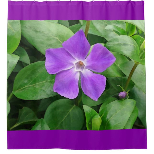 Vinca-bedeutender Duschvorhang (Vorderseite)