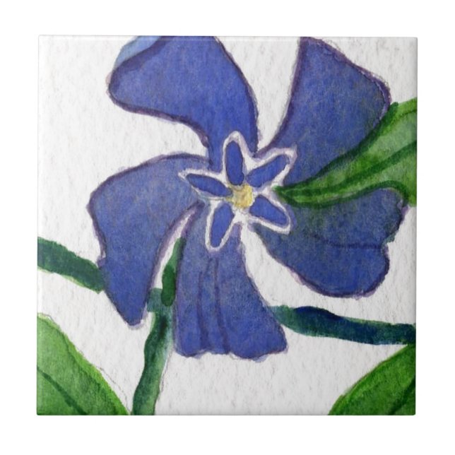 "Vinca Vine" Keramik Kochnische Garten Fliese (Vorderseite)