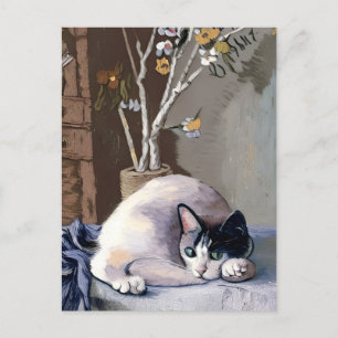 Vincent Cat Gogh Postcard Postkarte