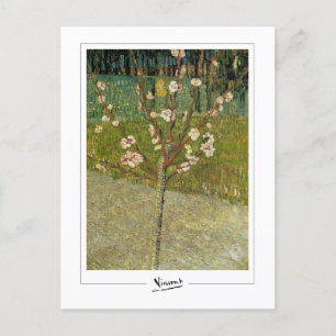 Vincent Van Gogh #14-3 - Fine Art Postkarte