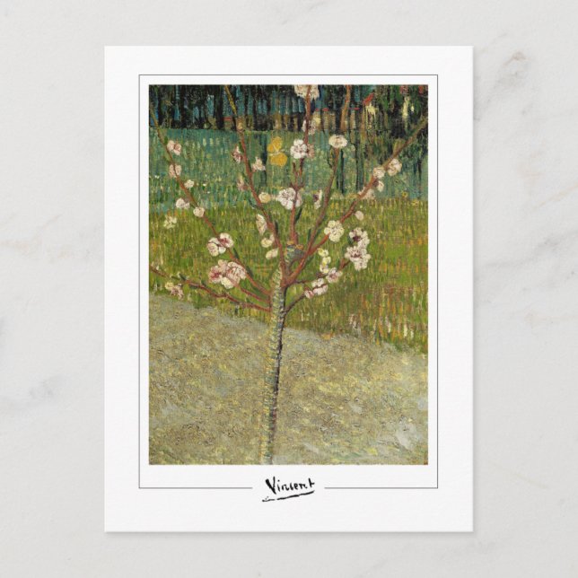 Vincent Van Gogh #14-3 - Fine Art Postkarte (Vorderseite)