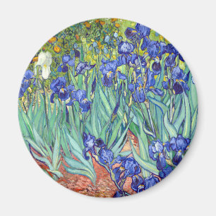 Vincent van Gogh 1889 Schwertlilien Magnet
