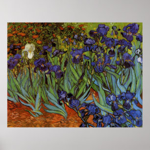 Vincent van Gogh 31 Poster