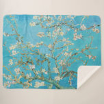 Vincent van Gogh - Almond Blossom Sherpadecke<br><div class="desc">Almond Blossom / Zweig with Almond Blossom - Vincent van Gogh,  Oil on Canvas,  1890</div>