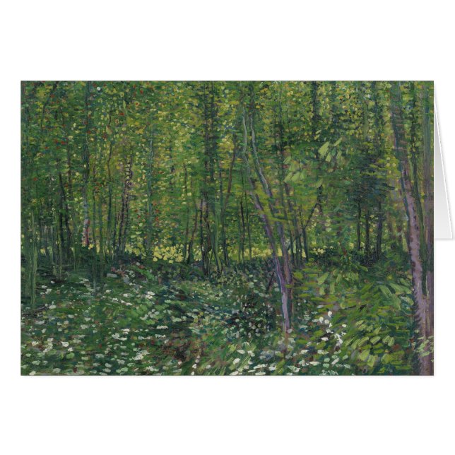 Vincent van Gogh - Bäume und Unterwuchs (Vorderseite (Horizontal))