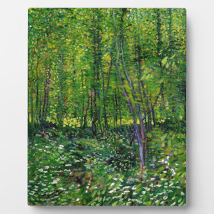 Vincent Van Gogh Bäume und Unterwuchs Fotoplatte