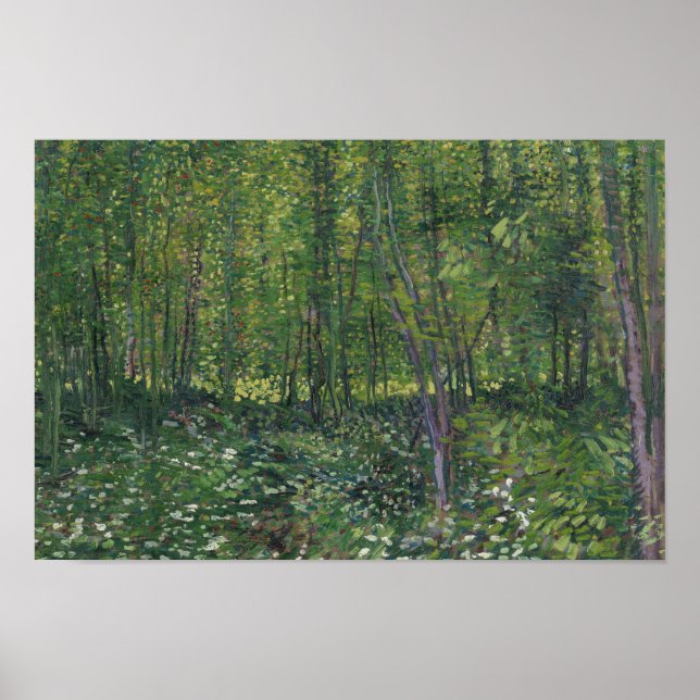 Vincent van Gogh - Bäume und Unterwuchs Poster (Vorne)