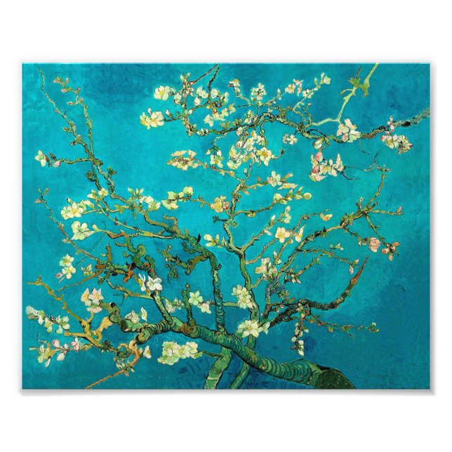 Vincent Van Gogh Blossoming Almond Tree Floral Art Fotodruck (Vorne)