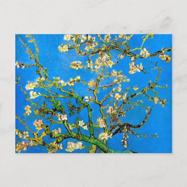 Vincent Van Gogh - Blühendes Almond Tree Kunst, Di Postkarte (Vorderseite)
