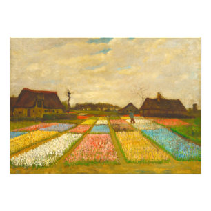 Vincent van Gogh Blume Beds in Holland Fotodruck
