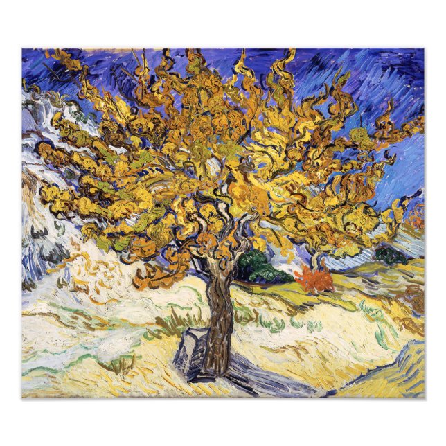 Vincent van Gogh - Der Mulberry-Baum Fotodruck (Vorne)