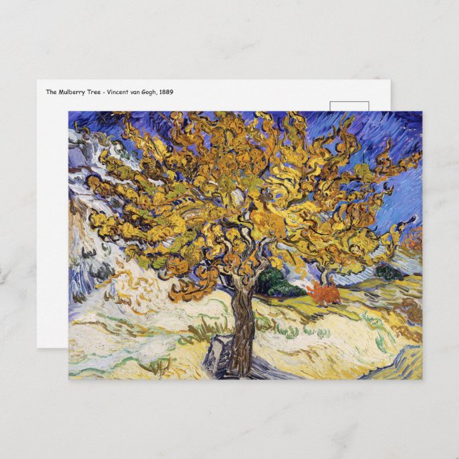 Vincent van Gogh - Der Mulberry-Baum Postkarte (Vorne/Hinten)
