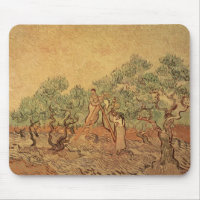 Vincent van Gogh | Der Olivenhain, 1889
