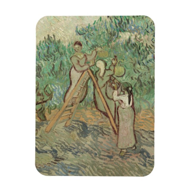 Vincent Van Gogh | Der Olivenhain Magnet (Vertikal)