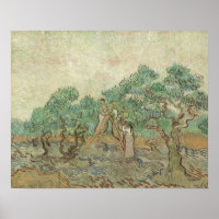 Vincent Van Gogh | Der Olivenhain