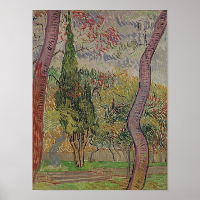 Vincent van Gogh | Der Park am Saint-Paul Poster (Vorne)