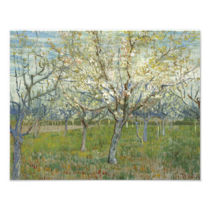Vincent van Gogh - Der rosa Obstgarten Fotodruck