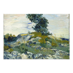Vincent van Gogh - die Felsen Fotodruck