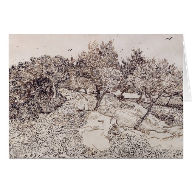 Vincent van Gogh | Die Olivenbäume (Vorderseite (Horizontal))