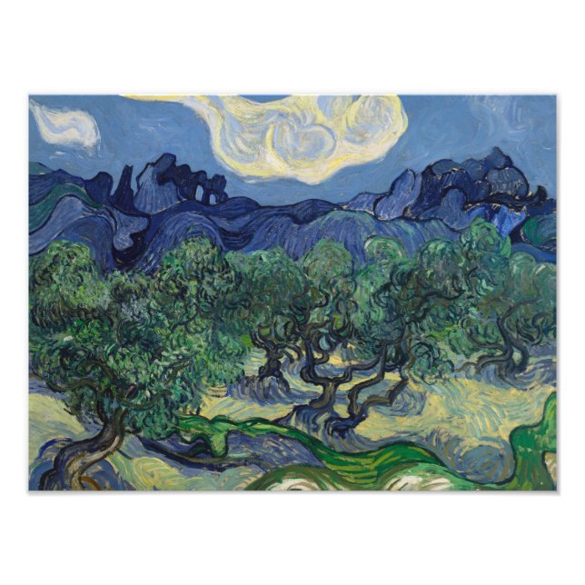 Vincent van Gogh - Die Olivenbäume Fotodruck (Vorne)