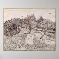 Vincent van Gogh | Die Olivenbäume