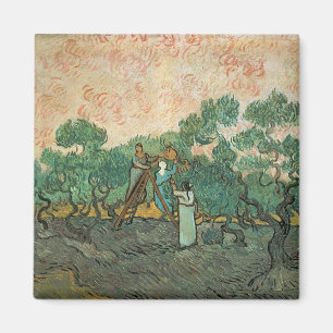 Vincent van Gogh Die Olivenhaine, Saint-Remy Magnet