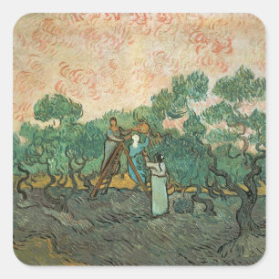 Vincent van Gogh   Die Olivenhaine, Saint-Remy Quadratischer Aufkleber