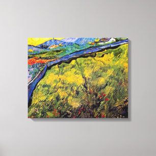 Vincent Van Gogh - Feld mit jungem Weizen Leinwanddruck