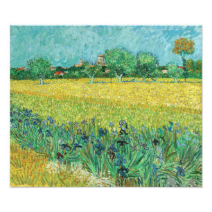Vincent van Gogh - Field with Irises near Arles Fotodruck