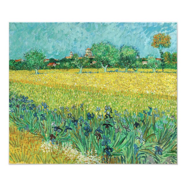 Vincent van Gogh - Field with Irises near Arles Fotodruck (Vorne)