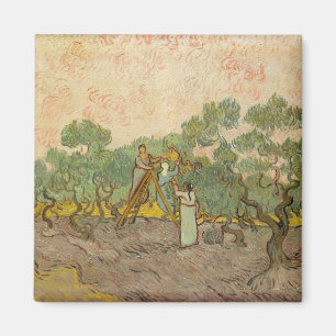 Vincent van Gogh - Frauen beim Olivenpflücken Magnet