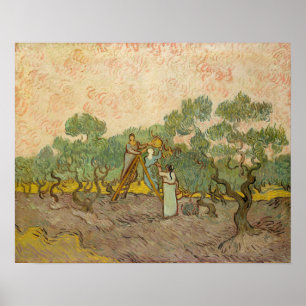 Vincent van Gogh - Frauen beim Olivenpflücken Poster
