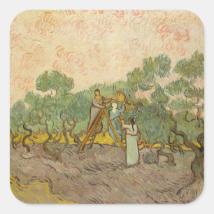 Vincent van Gogh - Frauen beim Olivenpflücken Quadratischer Aufkleber
